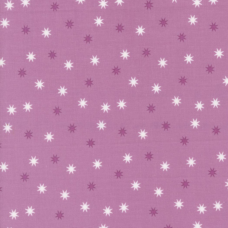 Hey Boo Friendly Practical Magic Stars Purple Haze 5215 15