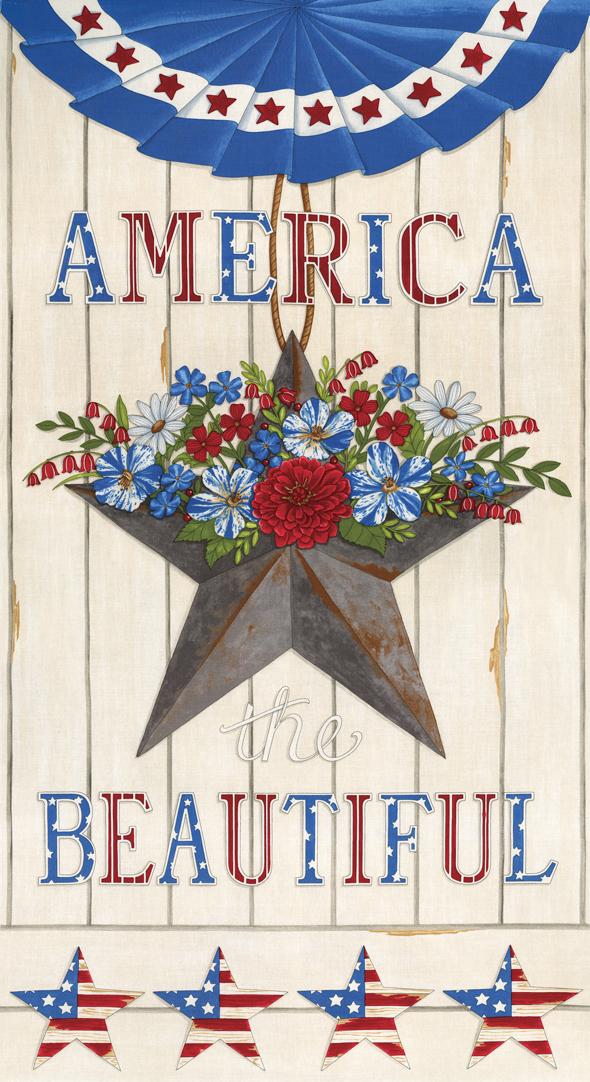 America Beautiful 19980 12