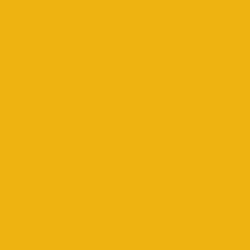 Signal Yellow Oracal 651 (019)