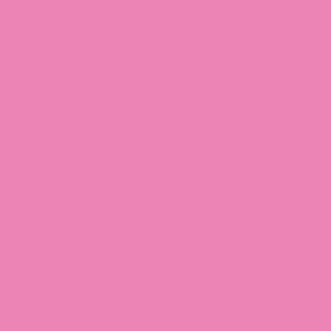 Soft Pink Oracal 651 (045)