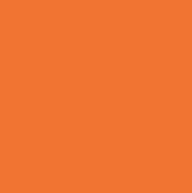 Light Orange Oracal 651 (036)