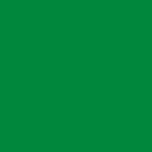 Light Green Oracal 651 (062)