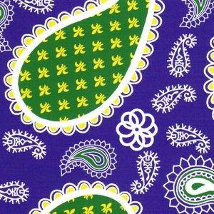 Purple and Green Paisley 2056