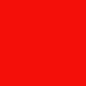 Fluorescent Red Oracal 651