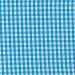 1/16" Turquoise Gingham