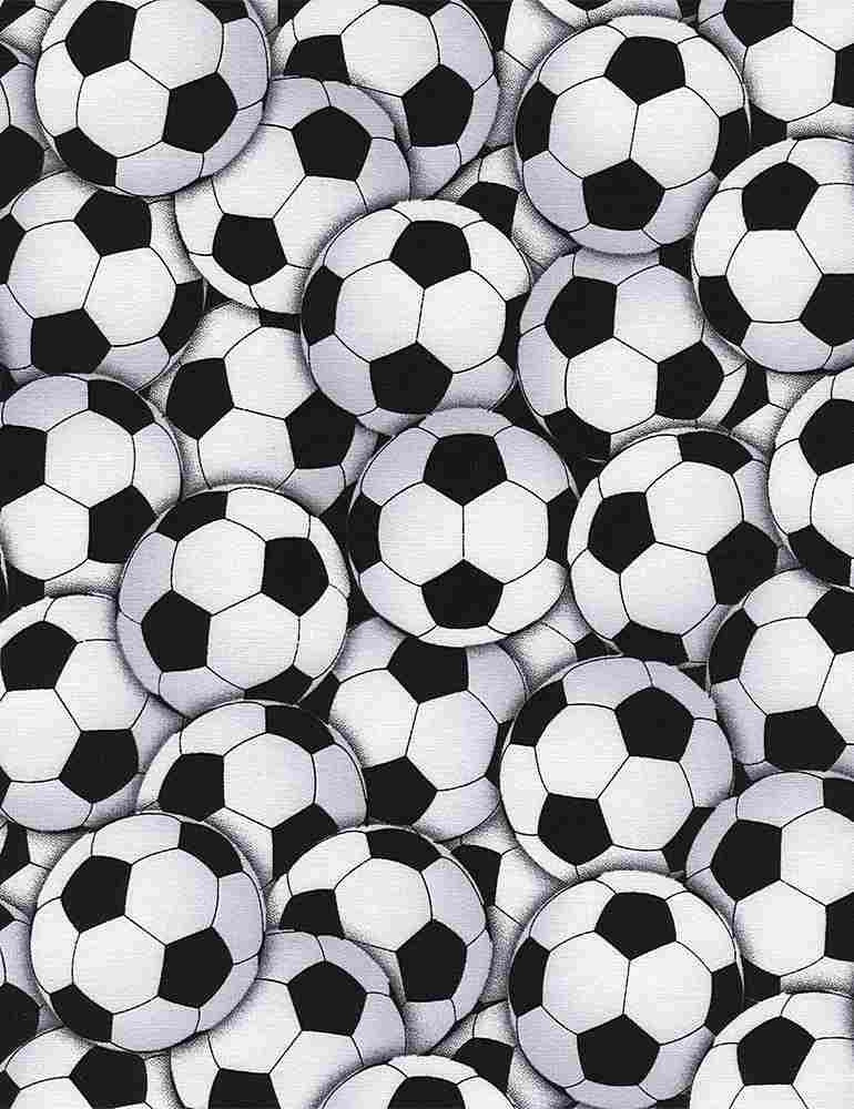Packed Soccer Balls C4820
