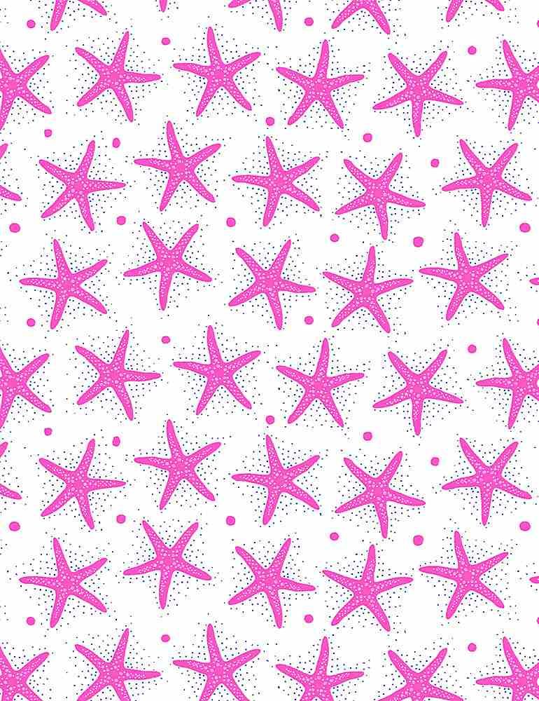 Starfish C1079