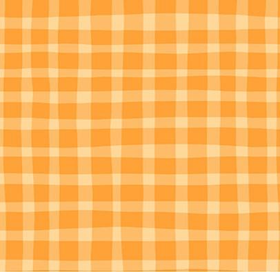 Picnic Blanket Plaid Orange
