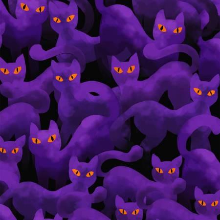 Boo Punch  Cats