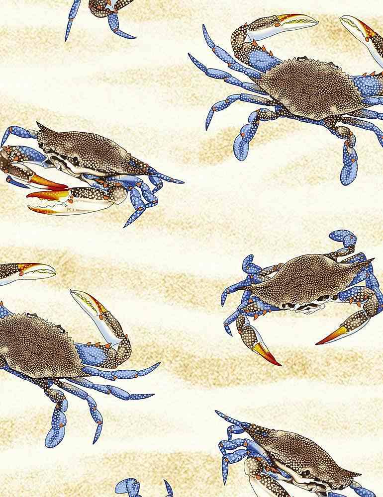 Crabs on Sand
